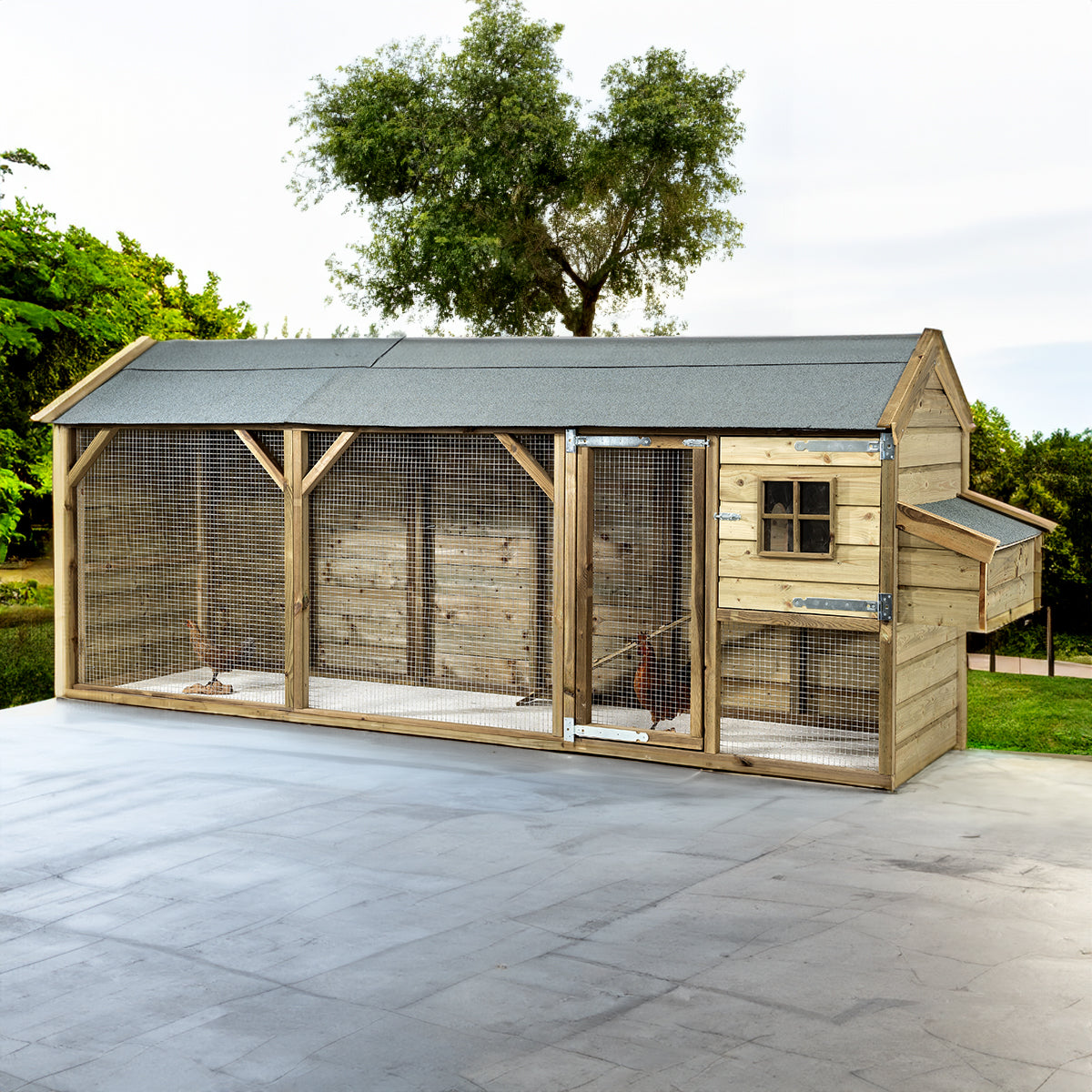 Kippenhok Eva – 393 x 95 x 148 cm – foto 9