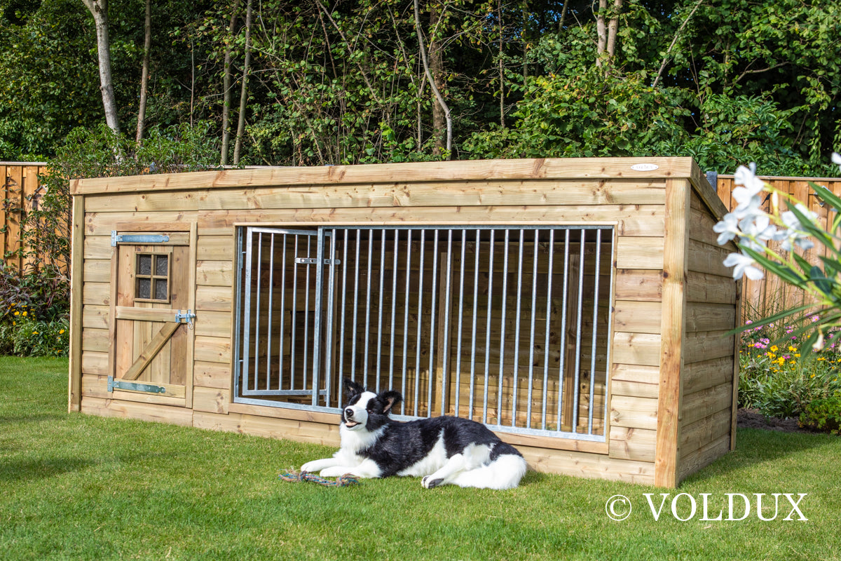 Hondenkennel Luna XL - 342 cm – foto 6