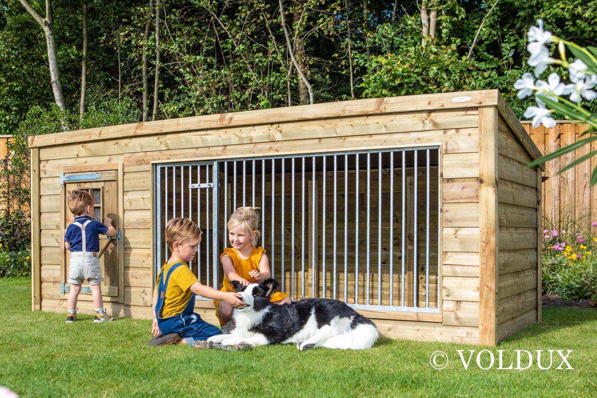 Hondenkennel Luna XL - 342 cm – foto 7