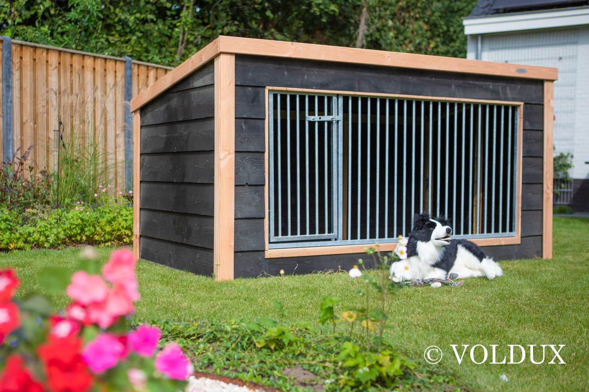 Hondenkennel Reno – Douglas 260x130x132 cm – foto 7