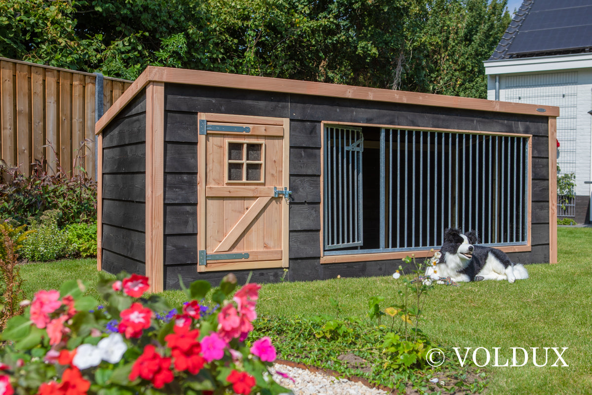 Hondenkennel Reno XL – Douglasspar – foto 5