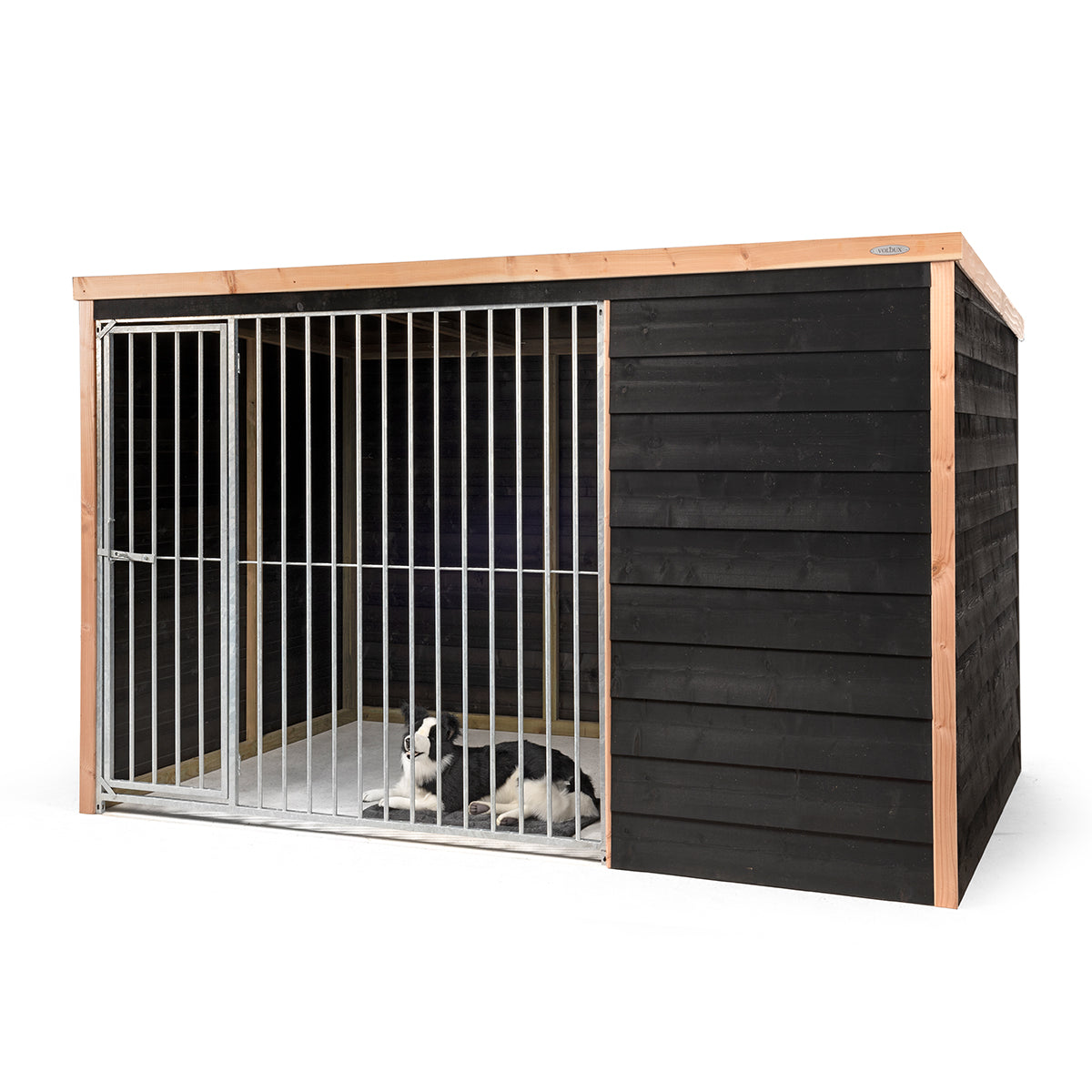 Hondenkennel Bas | Douglas met potdekseldelen