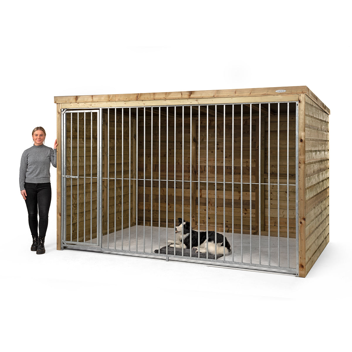 Hondenkennel Beer - geïmpregneerd hout – foto 2
