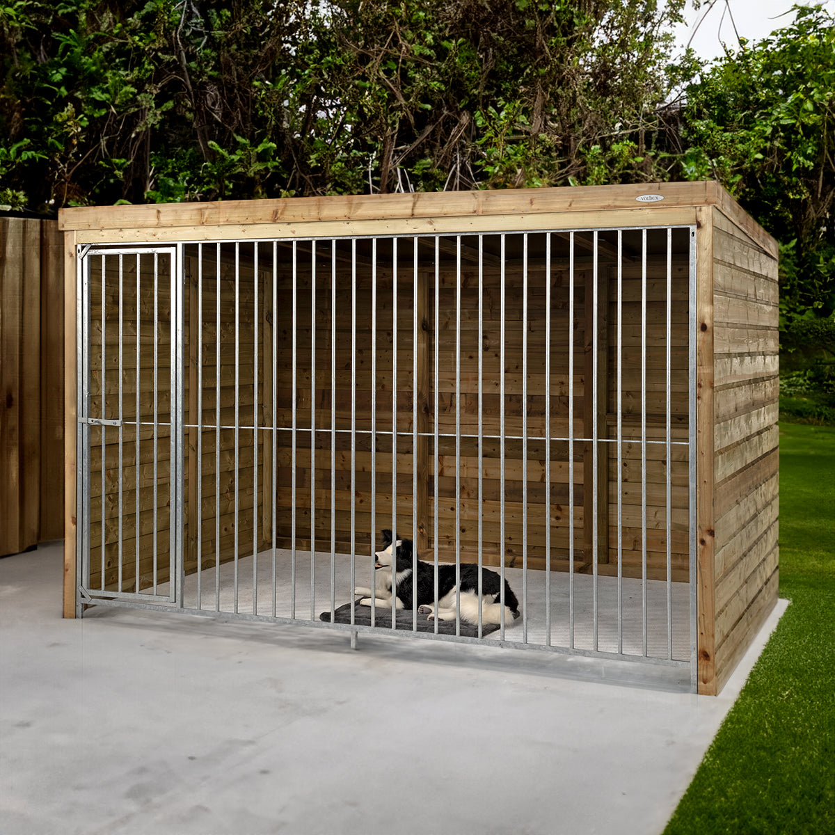 Hondenkennel Beer - geïmpregneerd hout – foto 6