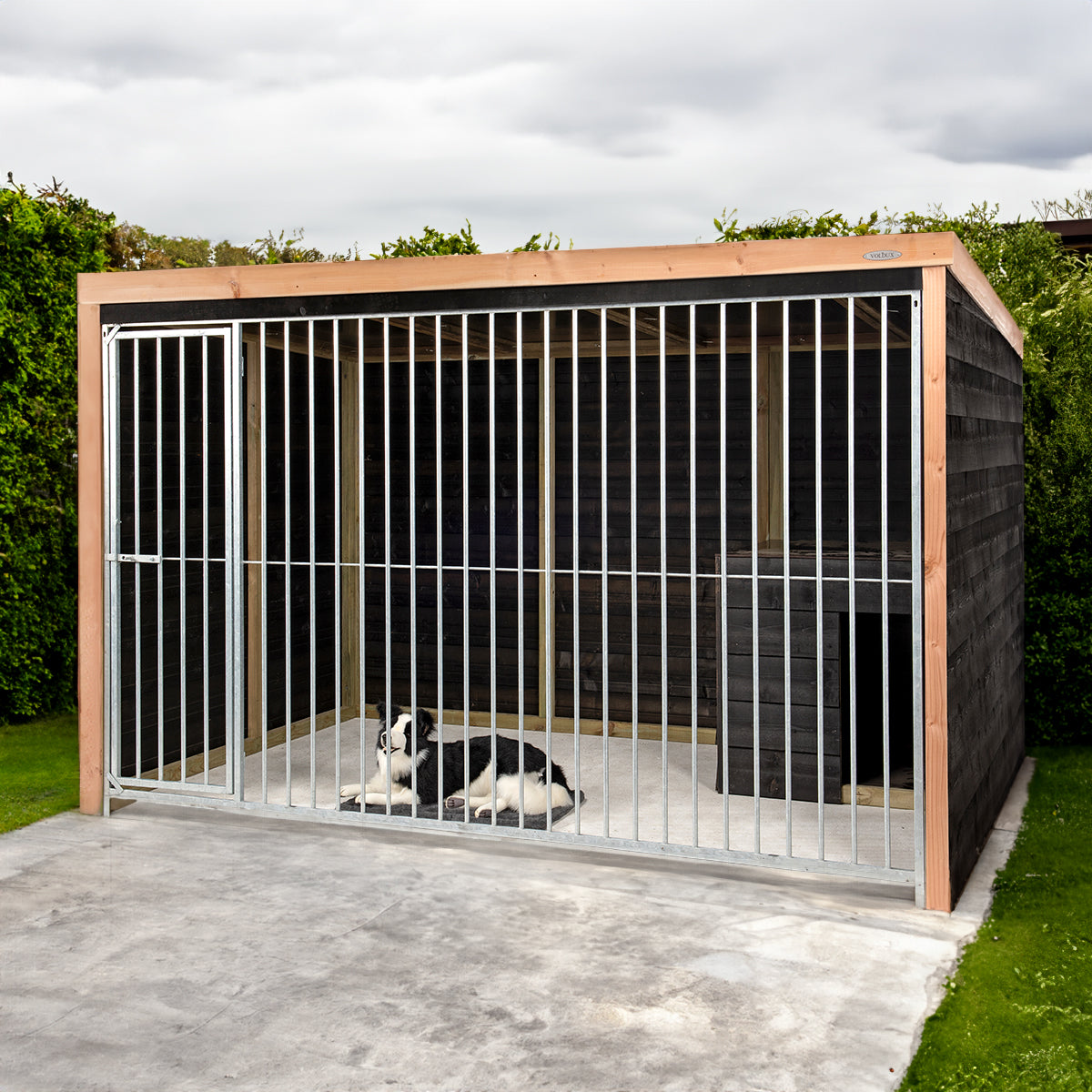 Hondenkennel Bo | Hout & Staal | 208x196x316 cm – foto 9