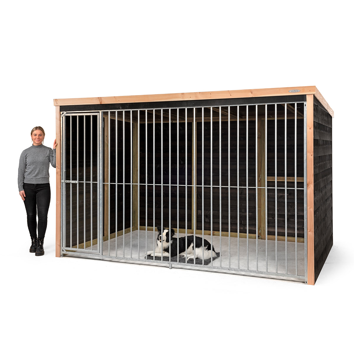 Hondenkennel Dave | Douglas potdekseldelen – foto 2