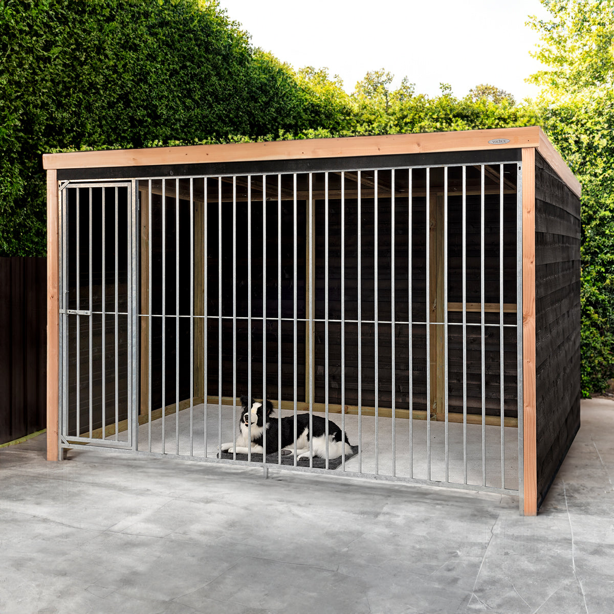 Hondenkennel Dave | Douglas potdekseldelen – foto 9