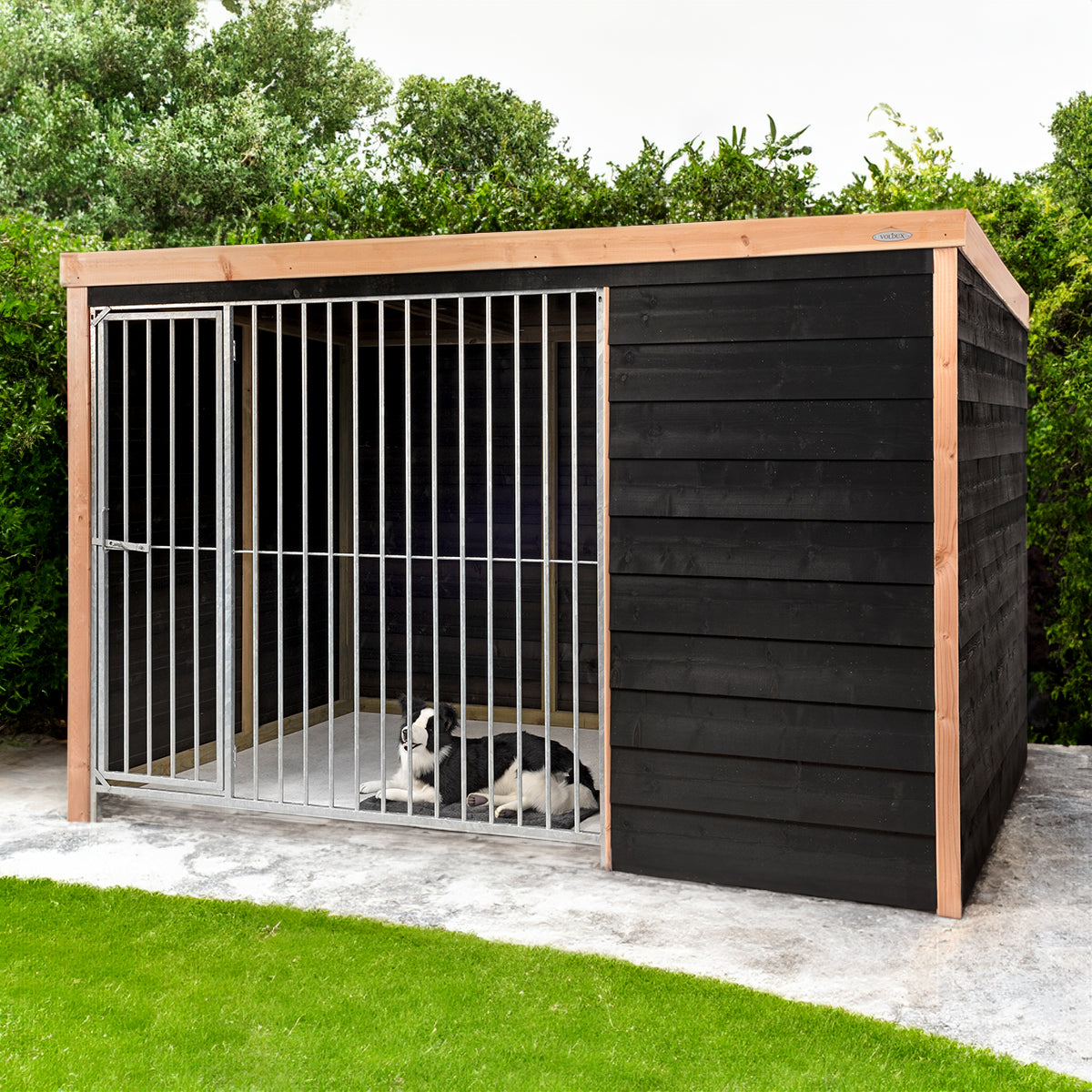 Hondenkennel Rex | Douglas met potdekseldelen – foto 10