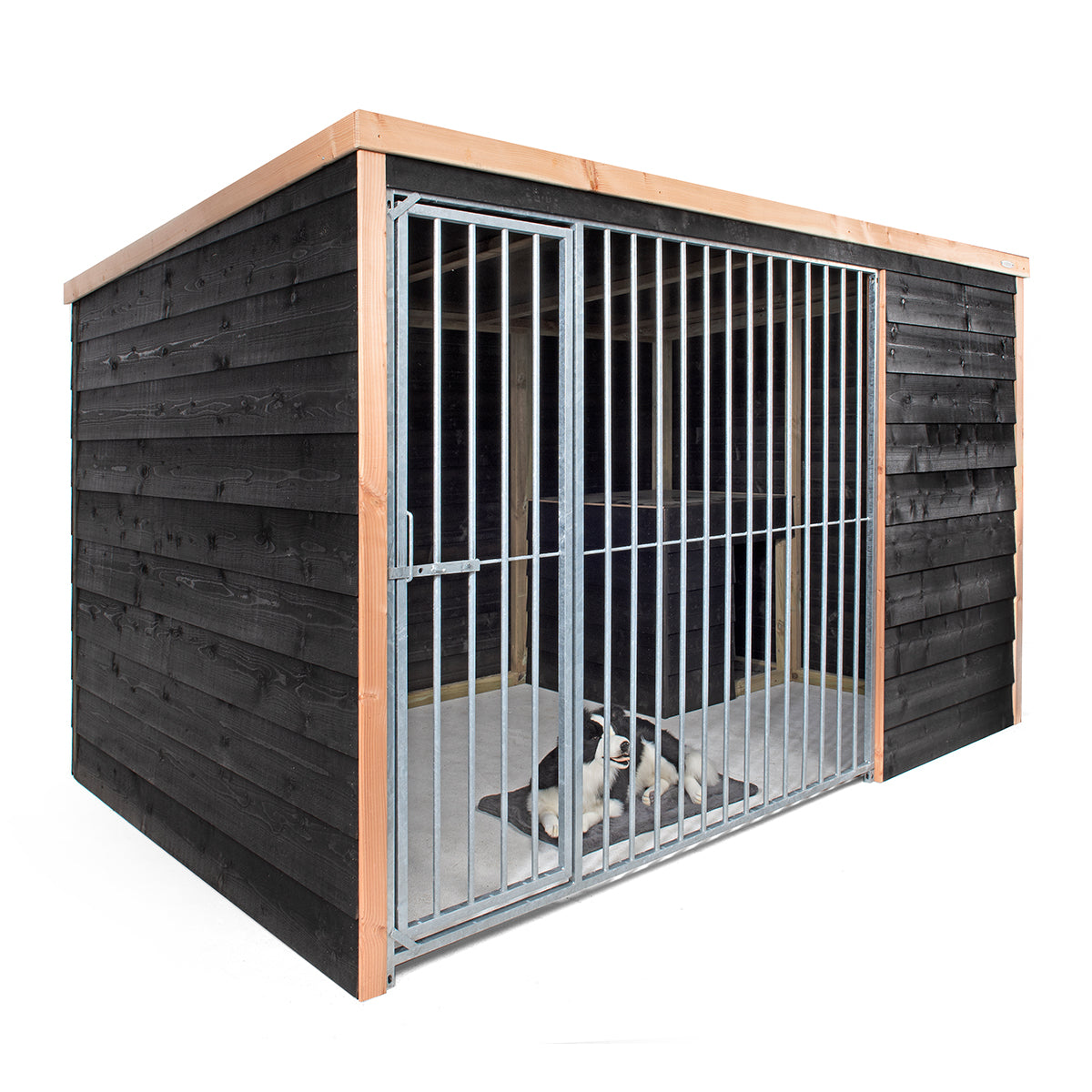 Hondenkennel Rex | Douglas met potdekseldelen – foto 2