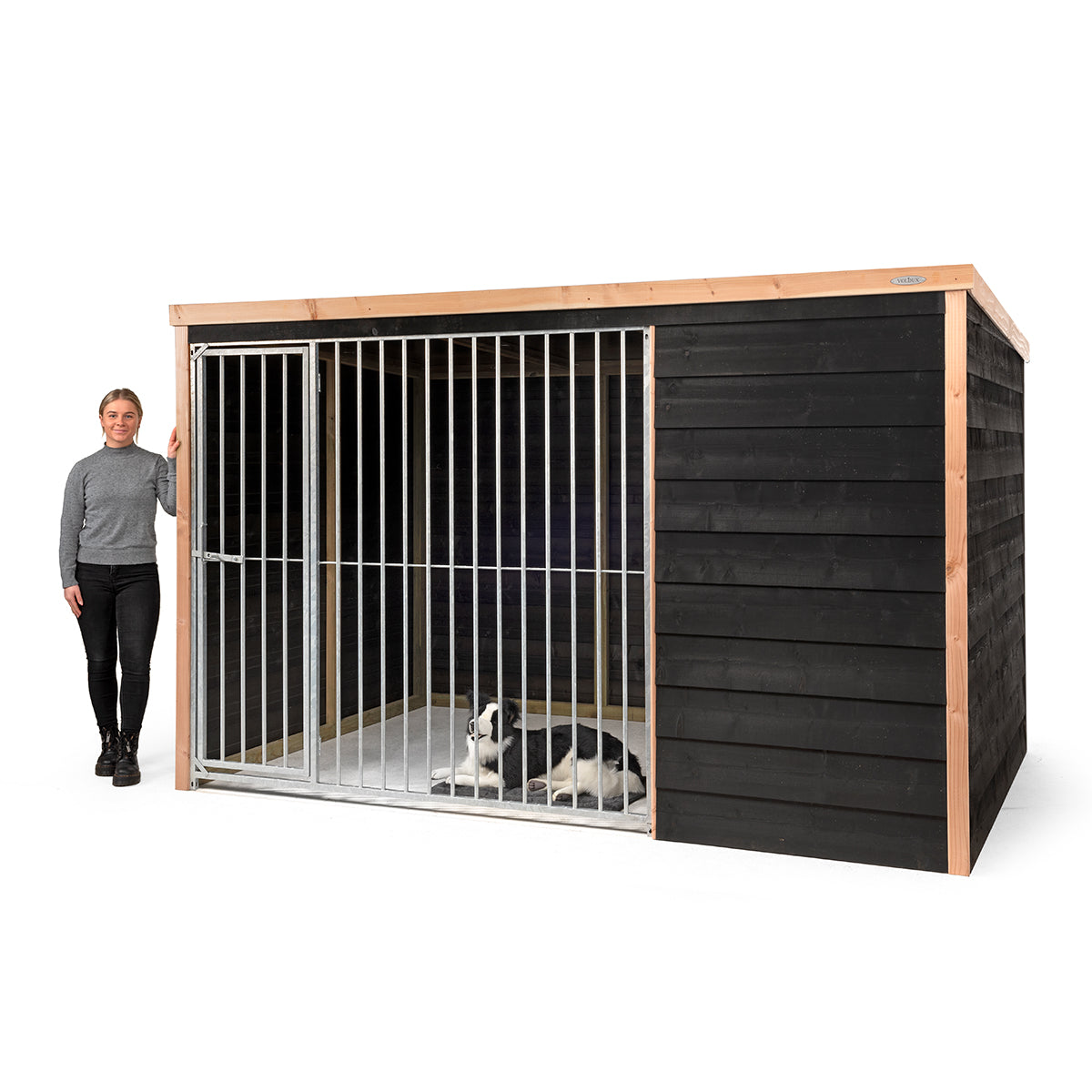 Hondenkennel Rex | Douglas met potdekseldelen – foto 3