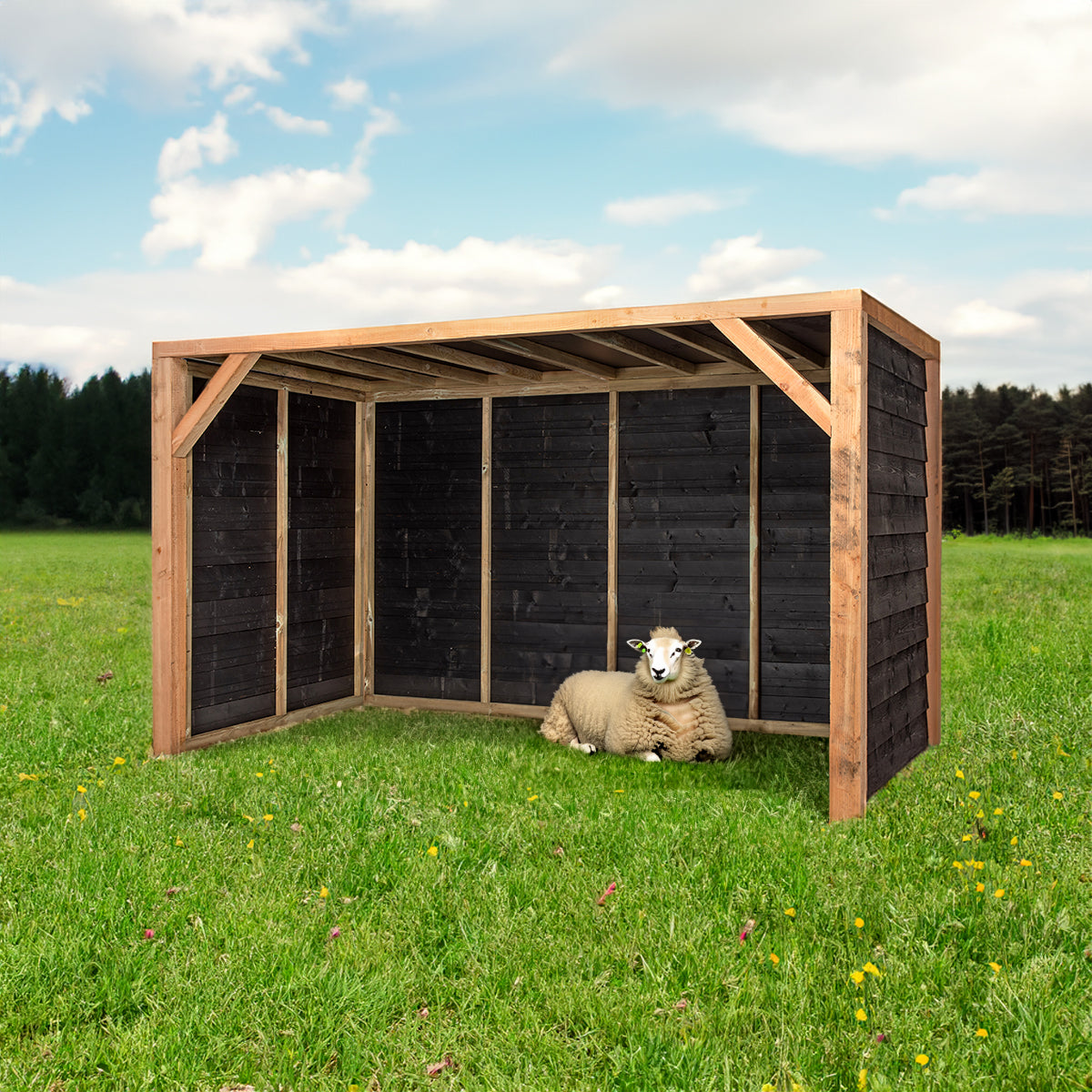 Schuilstal April – 369x196 cm – foto 4