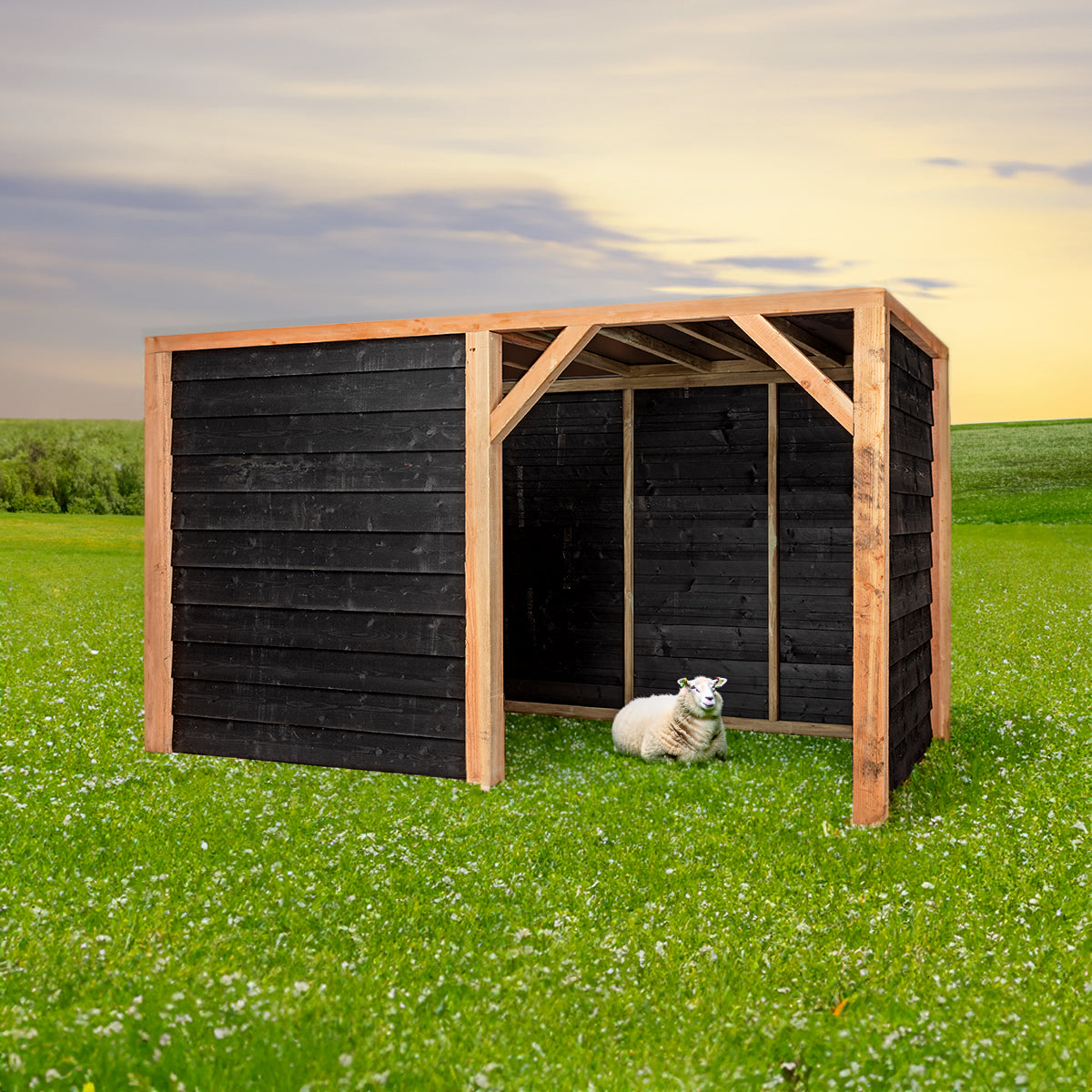 Schuilstal Maart 369x196 cm – foto 4